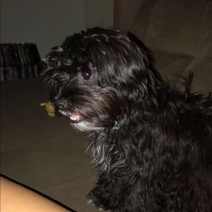 Meet your Posher, Erin